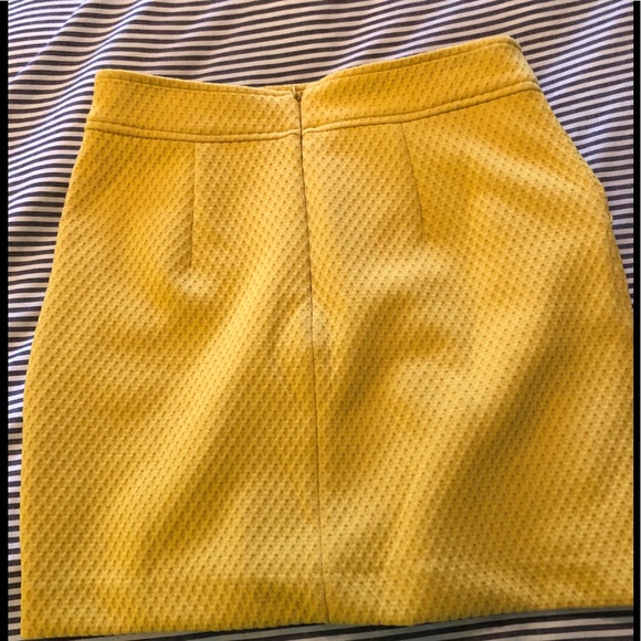 Skirt - Picture 2 of 3